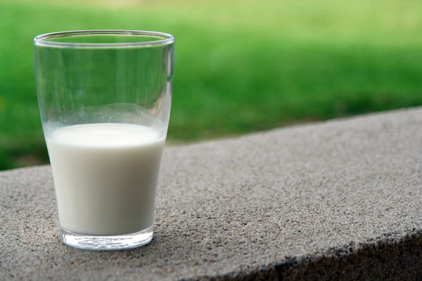 Surprise! Calcium is Bad, Here’s Why
