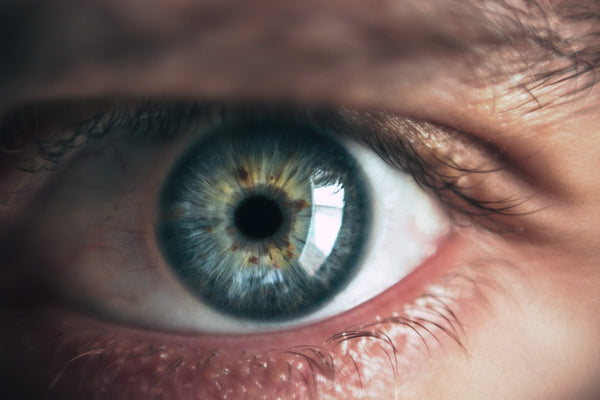 Helpful Biohacks to Improve Your Eyesight