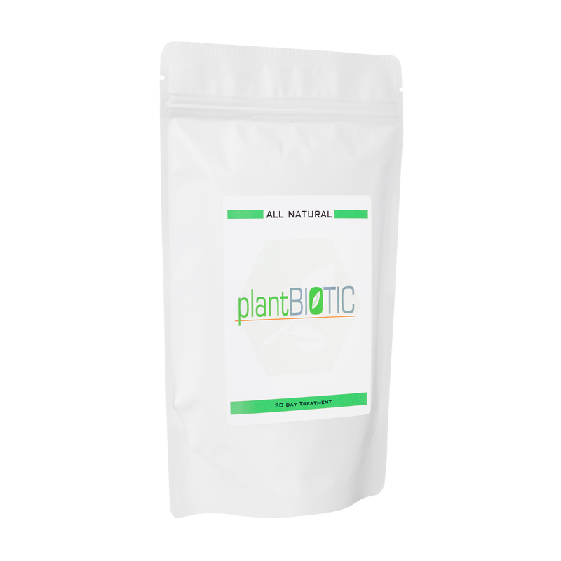 Plantbiotic | Natural Gut Support (30 Day)