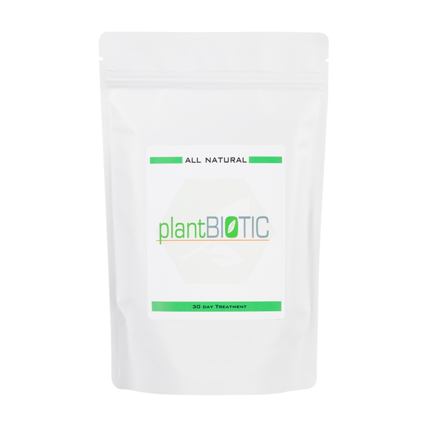 Plantbiotic | Natural Gut Support (30 Day)
